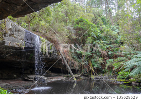 Kalimna Falls along Cumberland River trek, Great Ocean Road, Australia Kalimna Falls along Cumberland River trek, Great Ocean Road, Australia 135629529