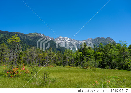 Mount Hotaka viewed from Kamikochi hiking trail in Japan Mount Hotaka viewed from Kamikochi hiking trail in Japan 135629547