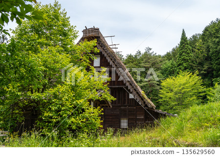 Traditional houses of Hida Minzoku Mura Folk Village in Takayama 135629560