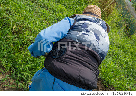 原野 田地 領域 135629713