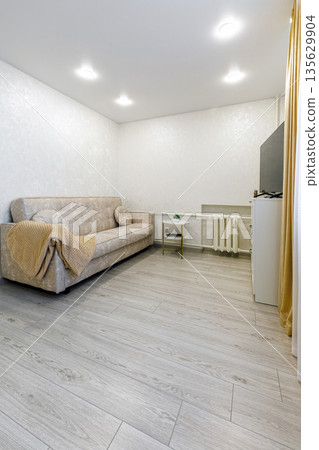 Bright modern studio apartment interior with sofa and TV area 135629904