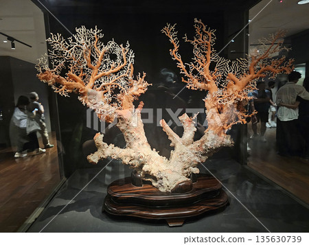 National Palace Museum Taiwan Taiwan 135630739