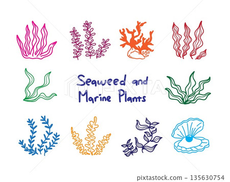 Seaweed and Marine Plants Doodle Illustration Hand Drawn Ocean Vegetation Underwater Flora Design Element Seaweed and Marine Plants Doodle Illustration Hand Drawn Ocean Vegetation Underwater Flora Design Element 135630754