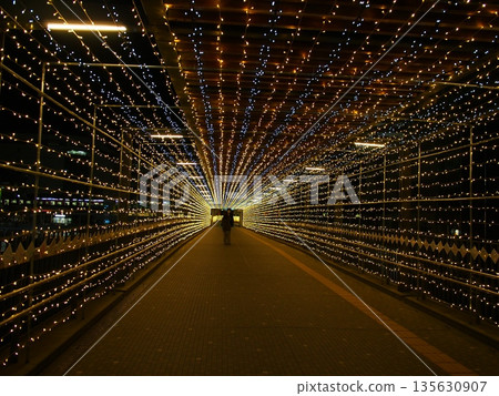 豐田市人行天橋的燈光景觀 135630907