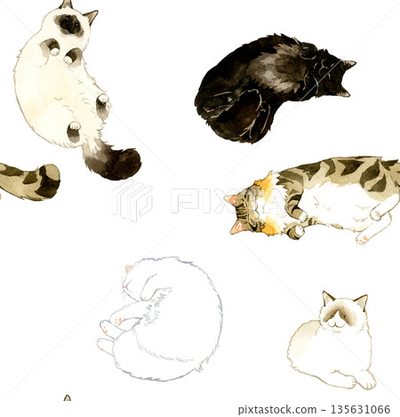 長毛貓睡覺和放鬆的無縫圖案。手繪水彩插畫背景素材,適用於動物和寵物。 長毛貓睡覺和放鬆的無縫圖案。手繪水彩插畫背景素材,適用於動物和寵物。 135631066