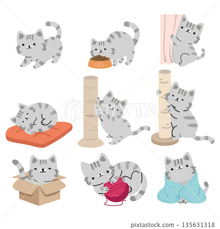 Cute Cat Illustrations Collection Cute Cat Illustrations Collection 135631318