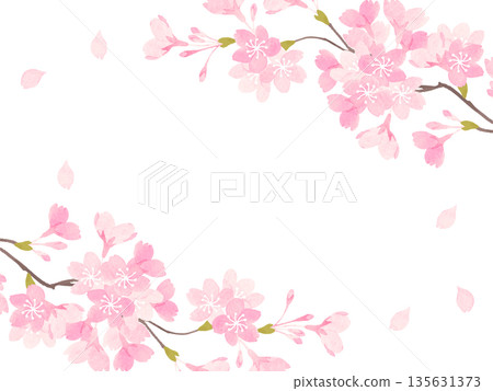 櫻花在盛開的背景例證 135631373