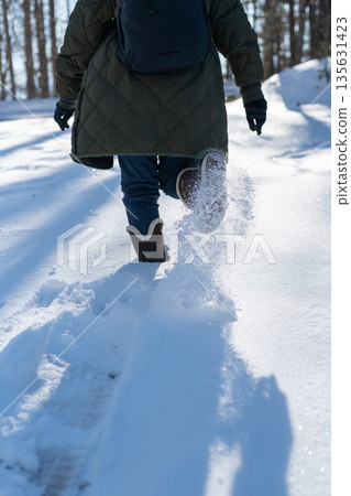 Walking in the snow Walking in the snow 135631423