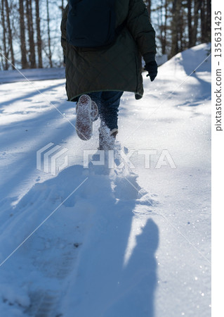 Walking in the snow Walking in the snow 135631425