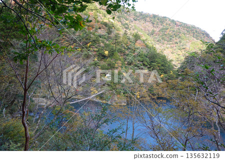 Sumata Gorge Yume no Tsuribashi 135632119
