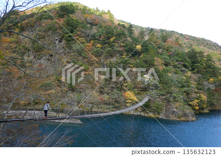須磨峽夢之橋 須磨峽夢之橋 135632123