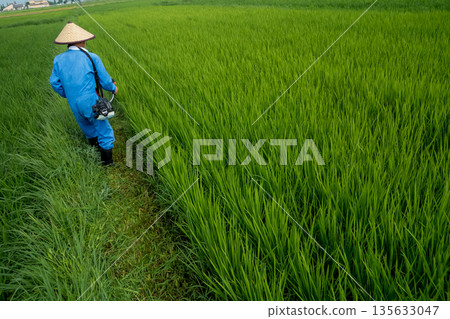 農家 農民 農夫 135633047