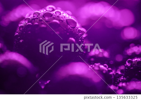 The image is of a purple liquid with many small droplets on it 135633325
