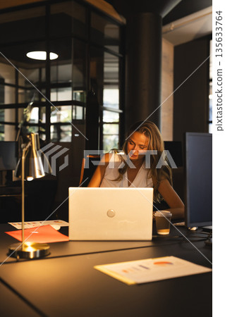 Woman wearing sleeveless blouse working on laptop at desk in modern office with lamp, copy space 135633764