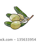 fresh green olives with leaves 135633954