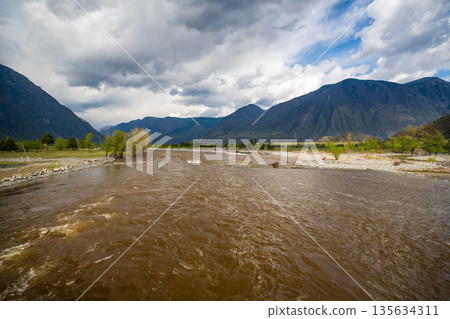 Chulyshman river flowing near Kyrsai bay at southern end of Teletskoye lake in Altai Russia Mountain watercourse in remote natural valley 135634311