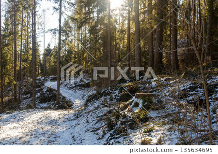 Morning walk through the forest on the mountain on a winter day Morning walk through the forest on the mountain on a winter day 135634695