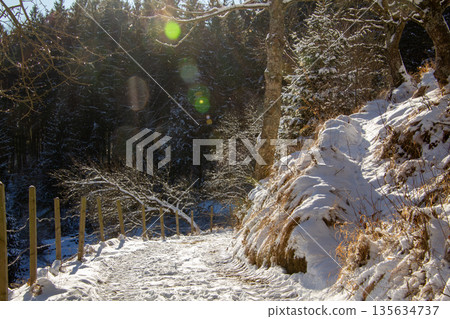 Snow-covered path behind the orchard on the mountain 135634737