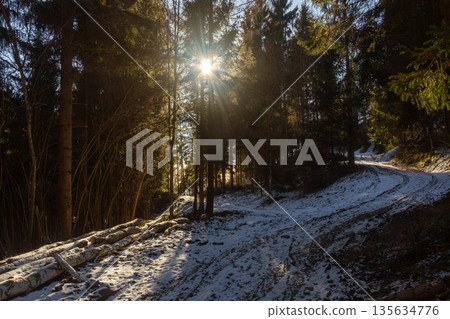 Morning walk through the forest on the mountain on a winter day Morning walk through the forest on the mountain on a winter day 135634776