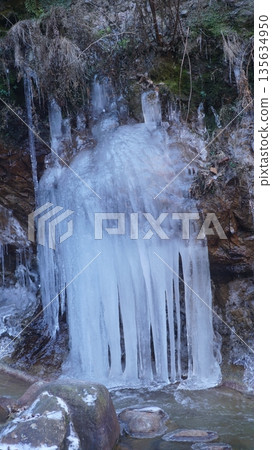 Yokotani峽谷的冰川 135634950