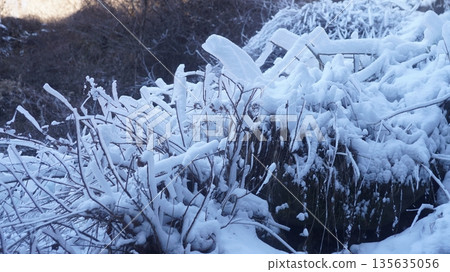 Splashes of Yokotani Gorge 135635056