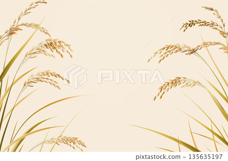 稻穗特寫 稻穗特寫 135635197
