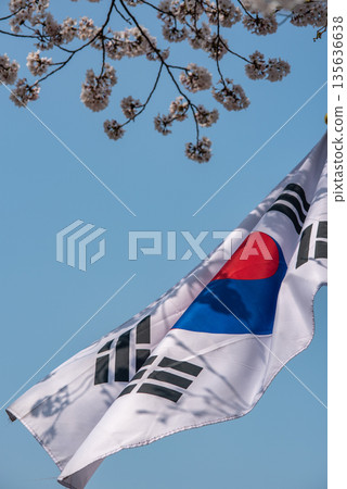 South Korean Flag with Cherry Blossoms South Korean Flag with Cherry Blossoms 135636638