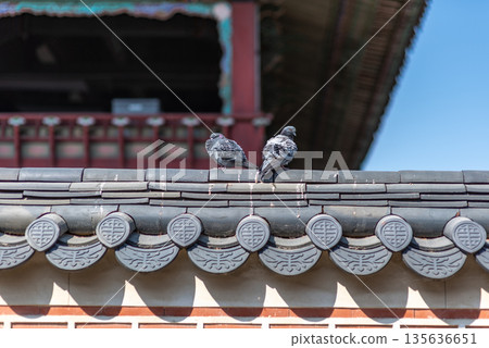 Pigeons on Traditional Korean Roof 135636651