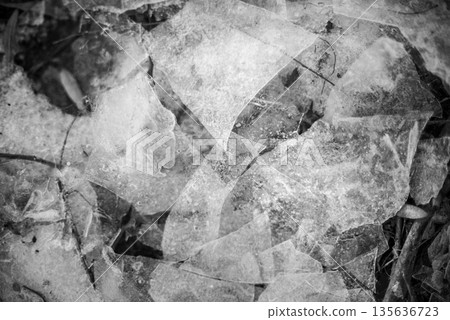 Monochrome Shattered ice pieces on the ground Monochrome Shattered ice pieces on the ground 135636723