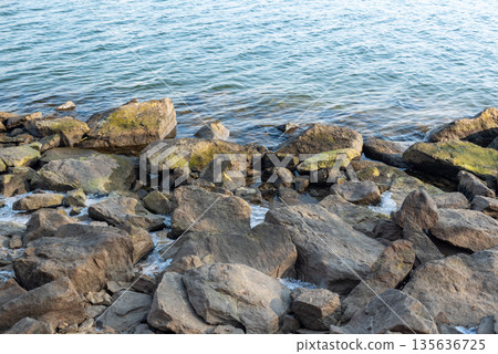 Rocky Shoreline with Moss-Covered Stones 135636725