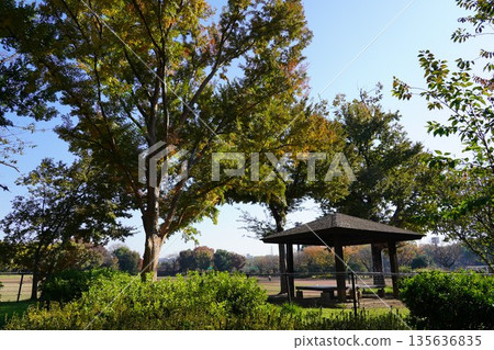 Gazebo, rest area 135636835