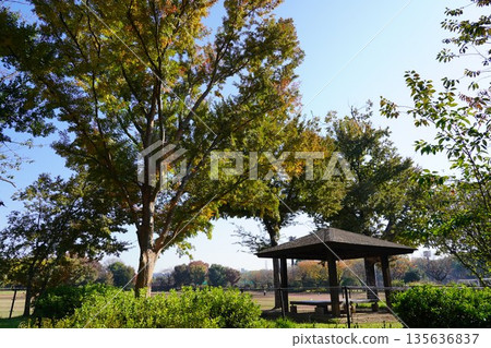 Gazebo, rest area 135636837