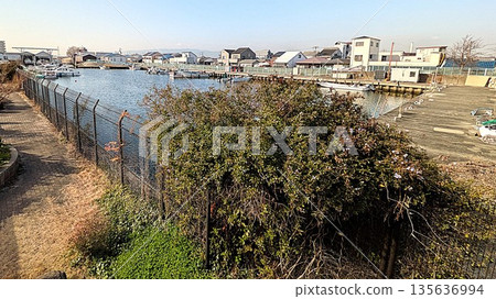 Denpo Fishing Port in Konohana Ward, Osaka Denpo Fishing Port in Konohana Ward, Osaka 135636994