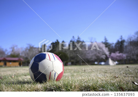 Soccer ball in a park with cherry blossoms Soccer ball in a park with cherry blossoms 135637093