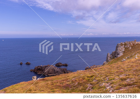 Pointe Brezellec, finistere, brittany, france Pointe Brezellec, finistere, brittany, france 135637616