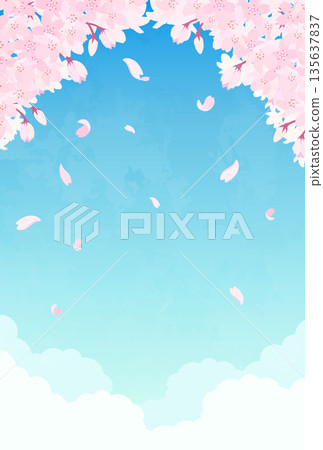 Cherry blossom and blue sky illustration_vertical 1 135637837