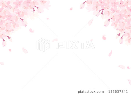 盛開的櫻花插圖_橫向 1 盛開的櫻花插圖_橫向 1 135637841