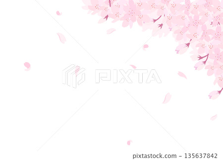 盛開的櫻花插圖_橫向 2 盛開的櫻花插圖_橫向 2 135637842