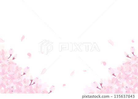 盛開的櫻花插圖_橫向 3 盛開的櫻花插圖_橫向 3 135637843