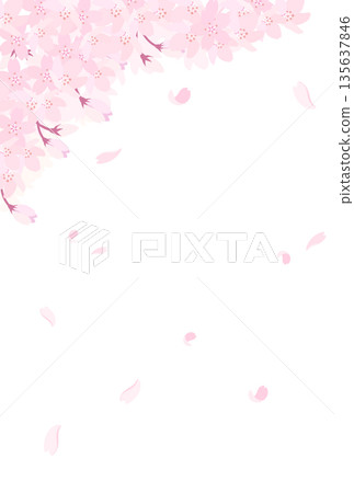 盛開的櫻花插圖_直式版 2 盛開的櫻花插圖_直式版 2 135637846