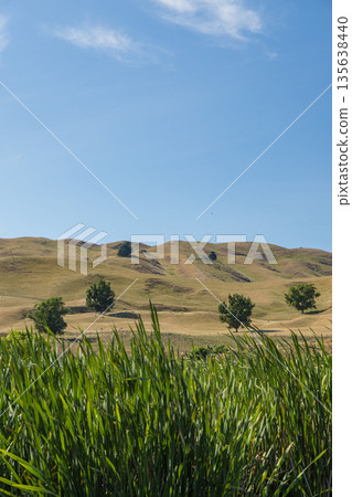 Pekapeka Regional Park, a protected wetland area in the Hawke's Bay region of New Zealand Pekapeka Regional Park, a protected wetland area in the Hawke's Bay region of New Zealand 135638440