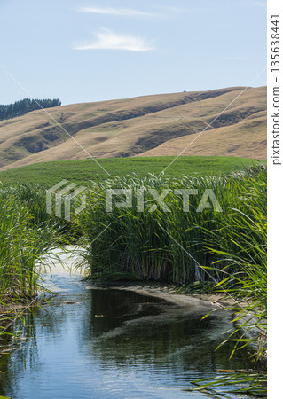 Pekapeka Regional Park, a protected wetland area in the Hawke's Bay region of New Zealand Pekapeka Regional Park, a protected wetland area in the Hawke's Bay region of New Zealand 135638441