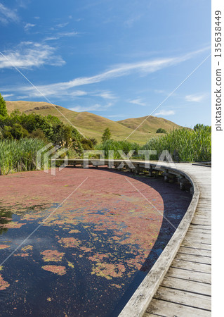 佩卡佩卡地區公園是紐西蘭霍克斯灣地區的受保護濕地。 佩卡佩卡地區公園是紐西蘭霍克斯灣地區的受保護濕地。 135638449