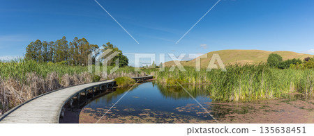 Pekapeka Regional Park, a protected wetland area in the Hawke's Bay region of New Zealand Pekapeka Regional Park, a protected wetland area in the Hawke's Bay region of New Zealand 135638451