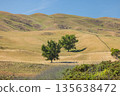 Hills seen from Pekapeka Regional Park in Hawke's Bay, New Zealand 135638472
