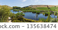 Pekapeka Regional Park, a protected wetland area in the Hawke's Bay region of New Zealand 135638474