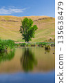 Pekapeka Regional Park, a protected wetland area in the Hawke's Bay region of New Zealand 135638479