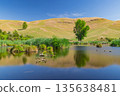 Pekapeka Regional Park, a protected wetland area in the Hawke's Bay region of New Zealand 135638481