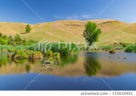 Pekapeka Regional Park, a protected wetland area in the Hawke's Bay region of New Zealand 135638481