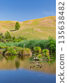 Pekapeka Regional Park, a protected wetland area in the Hawke's Bay region of New Zealand 135638482